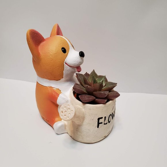 Corgi Planter with Echeveria Succulent, Dog with Watering Can, Animal Planter - Picture 5 of 7